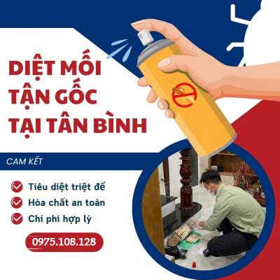 Diệt mối tận gốc tại quận Tân Bình