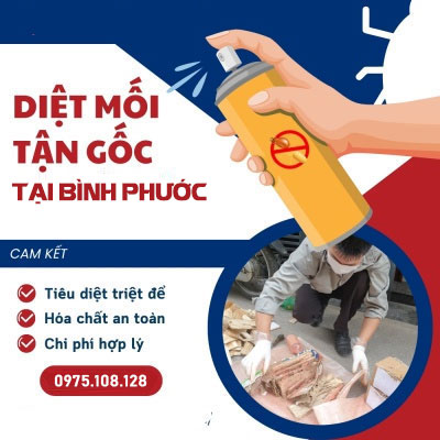 Diệt mối tận gốc tại Bình Phước - Hotline 0975.108.128
