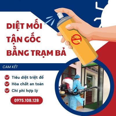 Diệt mối tận gốc bằng trạm bả công nghệ Mỹ
